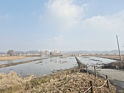 관곡 연못
