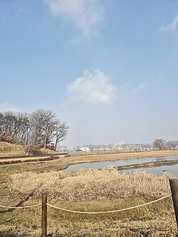 관곡 연못 겨울