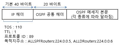 파일:OSPF 패킷 구성.jpg